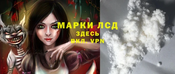 гидра Богородицк