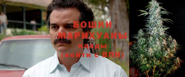 гидра Богородицк