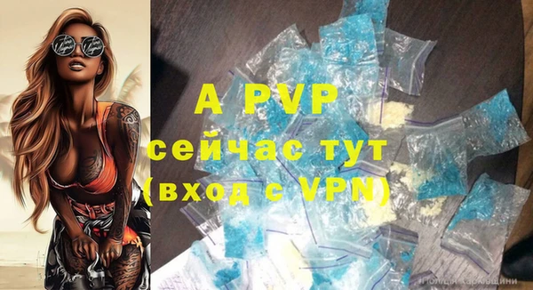 гидра Богородицк