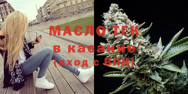 гидра Богородицк