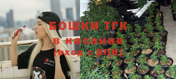 гидра Богородицк