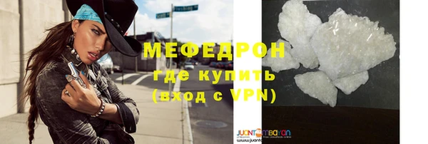 стаф Богданович
