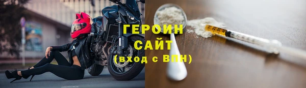 гидра Богородицк