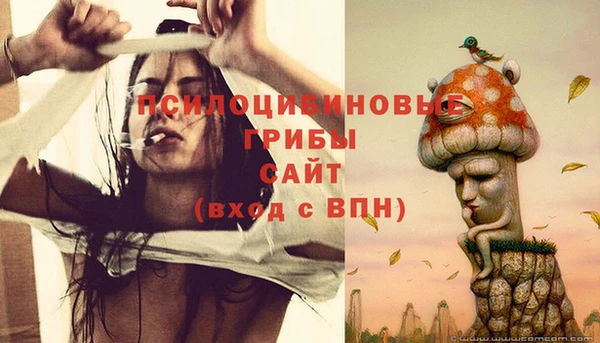 стаф Богданович