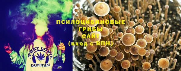 ПСИЛОЦИБИНОВЫЕ ГРИБЫ Семилуки