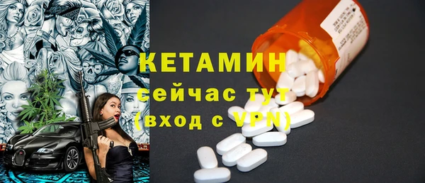 стаф Богданович