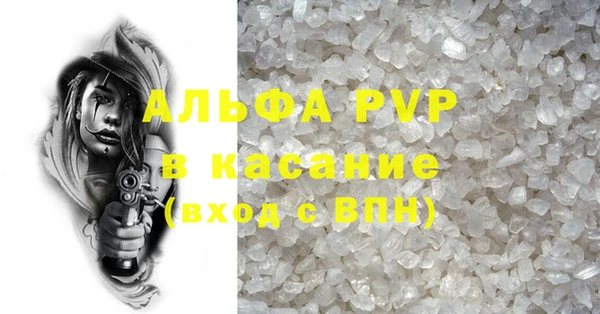 гидра Богородицк