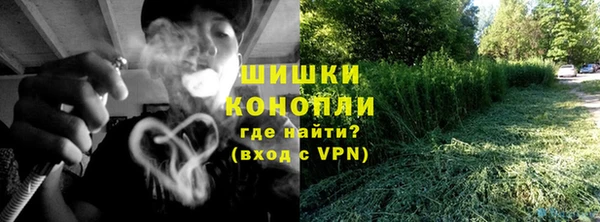 гидра Богородицк