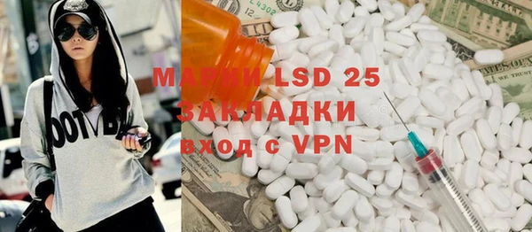 гидра Богородицк