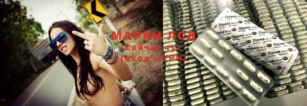 стаф Богданович