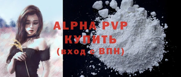 гидра Богородицк