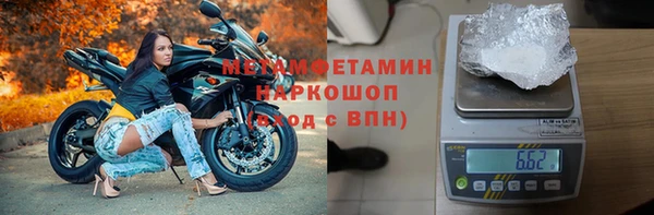 стаф Богданович