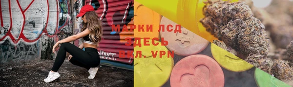 стаф Богданович
