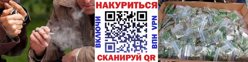 где продают   Томмот  Канабис сатива 